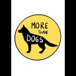 pensione-per-cani-easydog---morethandogs-ai-sorni