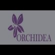 nuova-orchidea-cooperativa-sociale-onlus