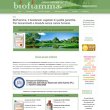 bioetanolo-biofiamma-per-caminetti-senza-canna-fumaria
