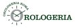 orologeria-roma---vendita-rolex