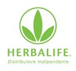 herbalife-incaricato-alle-vendite-agrigento-389-2427124