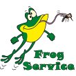 frog-service-roma