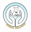 animal-wellness