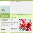 fiori-borrelli---vendita-fiori-on-line