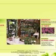 fioreria-arredaverde