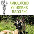 ambulatorio-veterinario-tuscolano-s-r-l