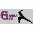 palestra-gamma-gym
