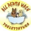 toelettatura-all-pepita-wash
