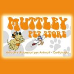 toelettatura-cani-muttley-pet-store
