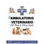 ambulatorio-veterinario-associato-dr-burla-l-e-d-ssa-fagotto-m-c
