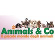 animals-co
