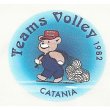 scuola-di-pallavolo-federale-teams-volley-catania