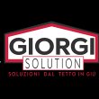 giorgi-solution