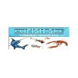 elifish-commercio-prodotti-ittici
