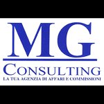 mg-consulting-agenzia-affari-e-commissioni