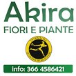 akira-fiori-e-piante-interflora