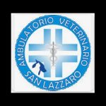 ambulatorio-veterinario-san-lazzaro