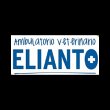 ambulatorio-veterinario-elianto