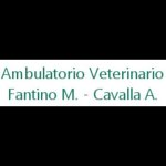 ambulatorio-veterinario-fantino---cavalla