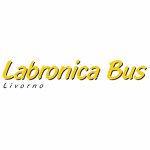 labronica-bus