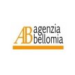 agenzia-pratiche-auto-e-assicurazioni-bellomia