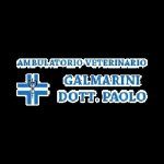 ambulatorio-veterinario-galmarini-dr-paolo