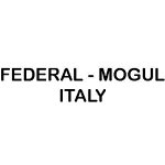 federal---mogul-italy