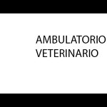 ambulatorio-veterinario-dottor-lelio-benedini
