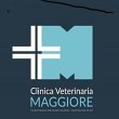clinica-veterinaria-maggiore