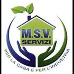 msv-servizi