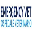 emergency-vet-ospedale-veterinario