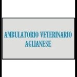 ambulatorio-veterinario-aglianese
