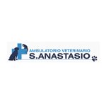 ambulatorio-veterinario-san-anastasio