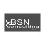 bsn-consulting-42