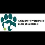 ambulatorio-veterinario-barzoni-dr-ssa-elisa