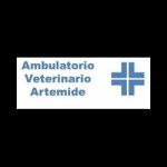 ambulatorio-veterinario-artemide