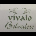 vivaio-belvedere-di-raballo-livio
