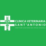 clinica-veterinaria-s-antonio