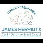 clinica-veterinaria-james-herriot
