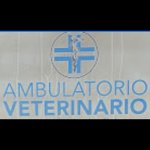 ambulatorio-veterinario-gulia-valentina
