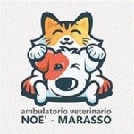 ambulatorio-veterinario-associato-noe-marasso