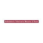 ambulatorio-veterinario-associato-dott-ssa-messina---dr-rossi
