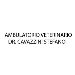 ambulatorio-veterinario-cavazzini-dr-stefano