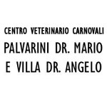 centro-veterinario-carnovali