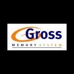 gross-memory-system-sas