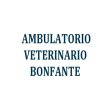 ambulatorio-veterinario-bonfante