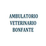ambulatorio-veterinario-bonfante