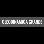 oleodinamica-grande