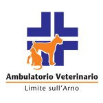 ambulatorio-veterinario-limite-sull-arno