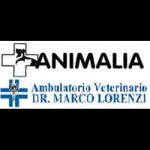 ambulatorio-veterinario-dr-marco-lorenzi